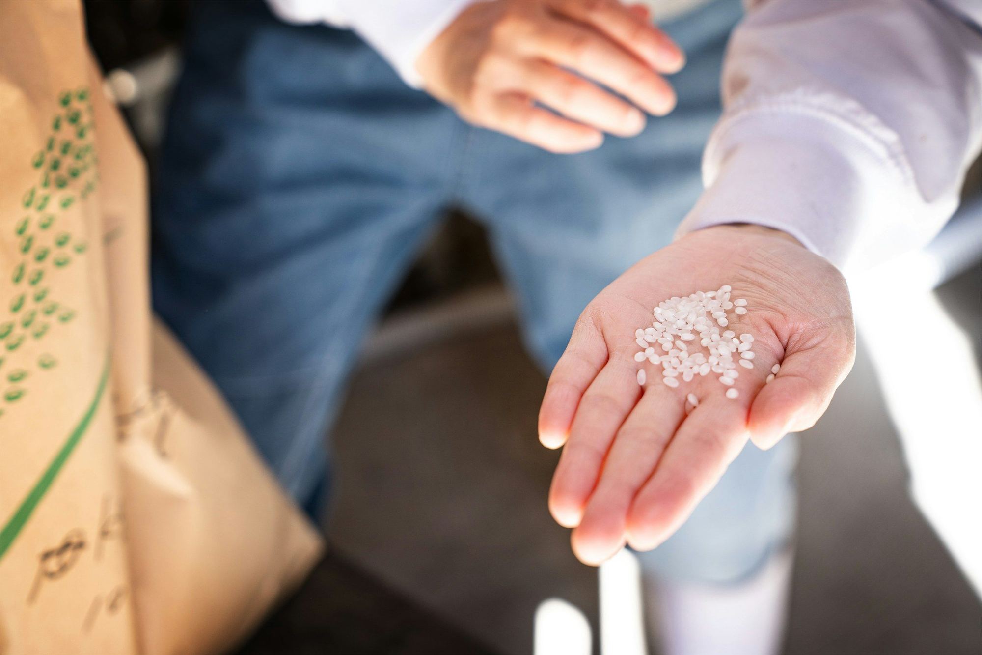 A hand holding milled rice grains for inspection