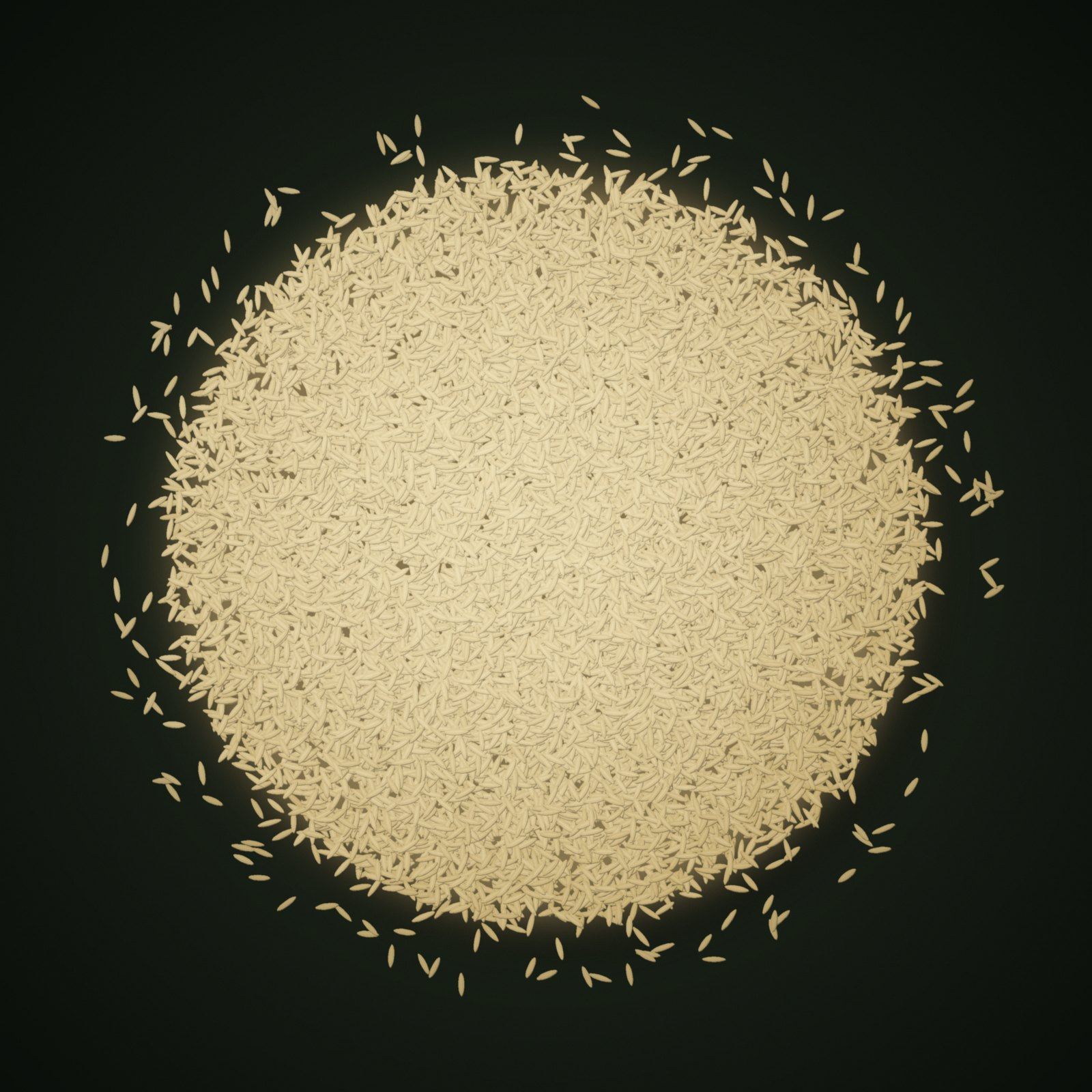 A heap of 1401 Basmati Rice grains