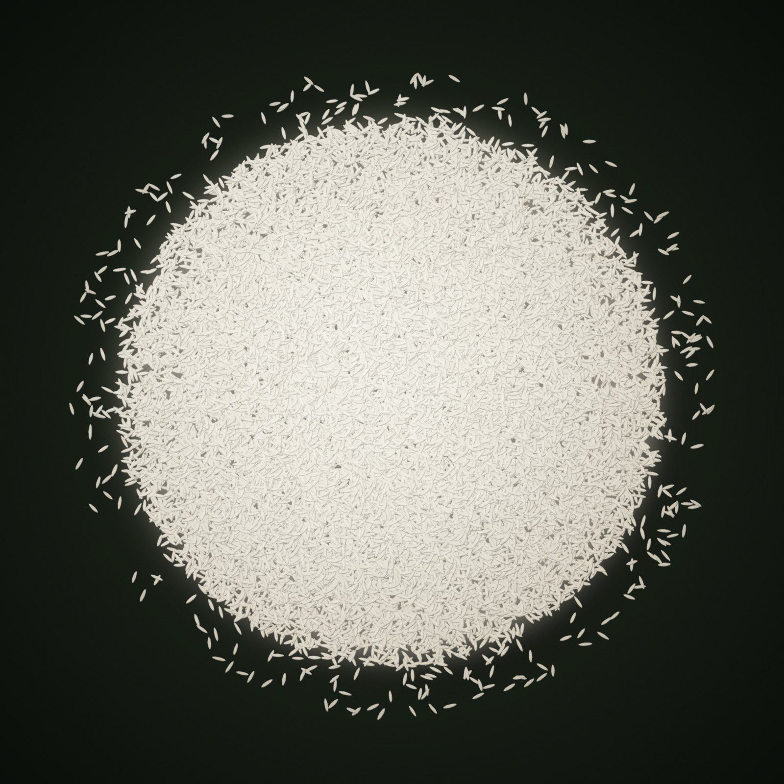 A heap of IR 64 Rice grains