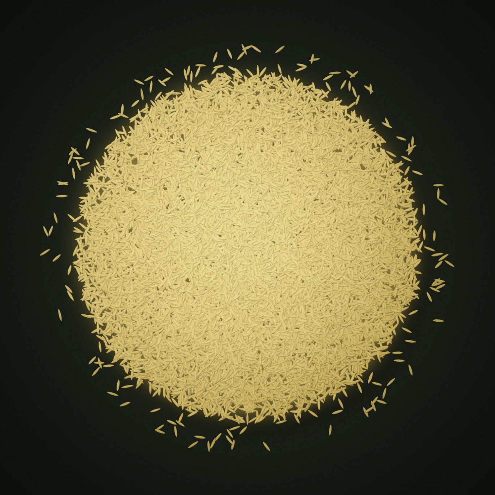A heap of Lemon Sella Rice grains
