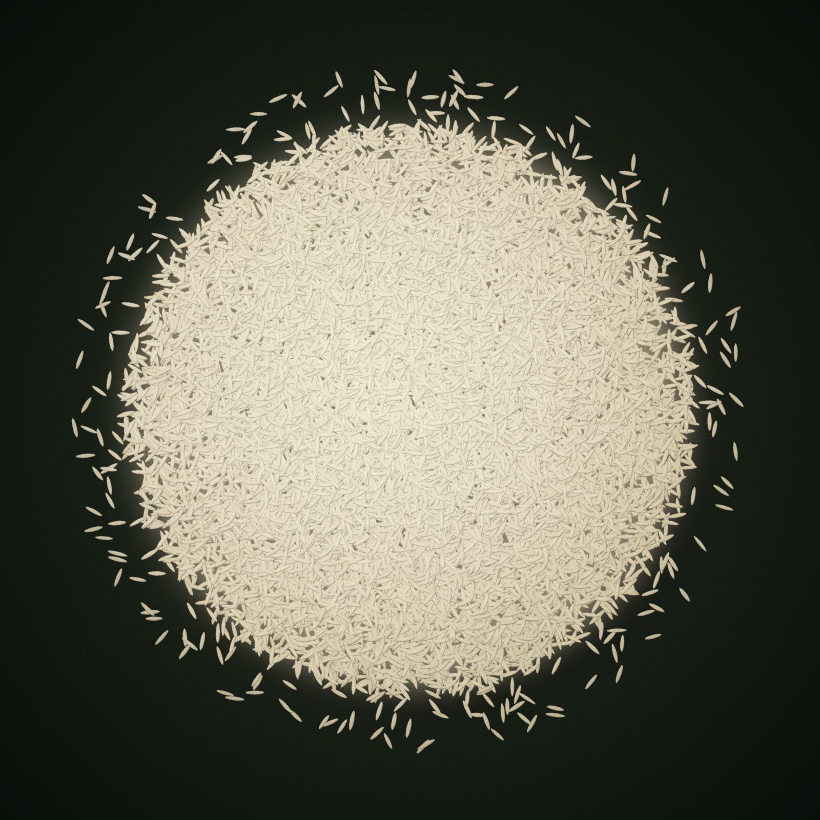 A heap of Pesticide Residue Free Basmati grains