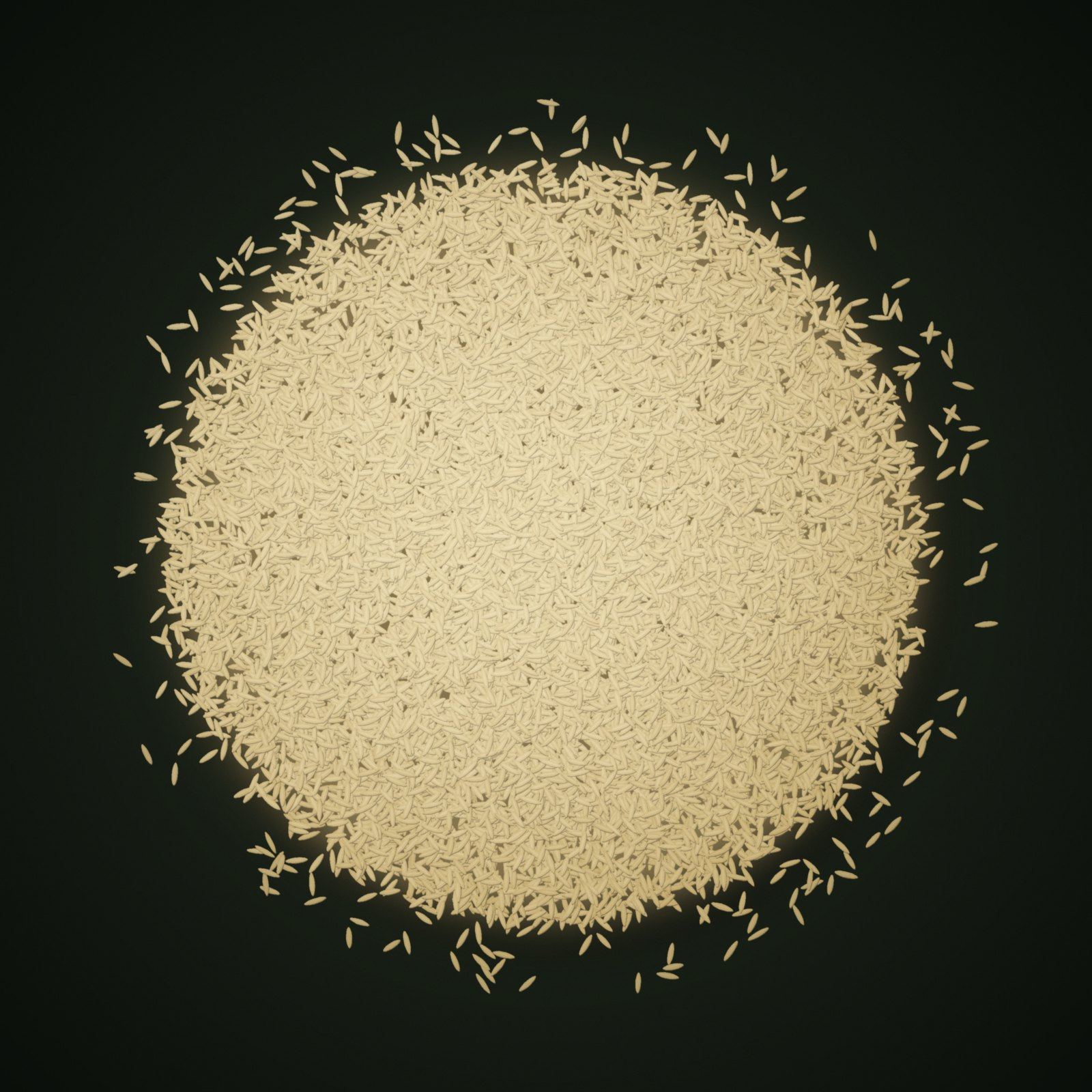 A heap of Pesticide Residue Free Non-Basmati grains