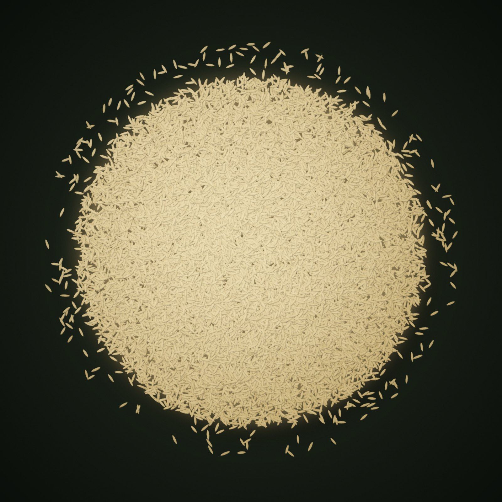 A heap of PR 11 / PR 14 Rice grains